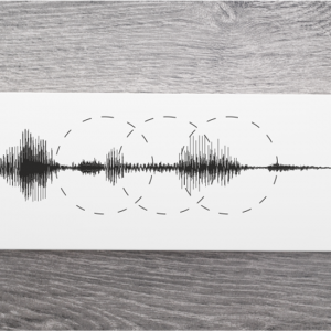 Soundwave Canvas (Standard)